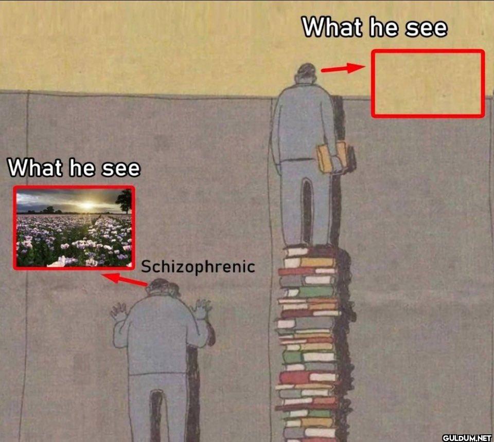 What he see Schizophrenic...