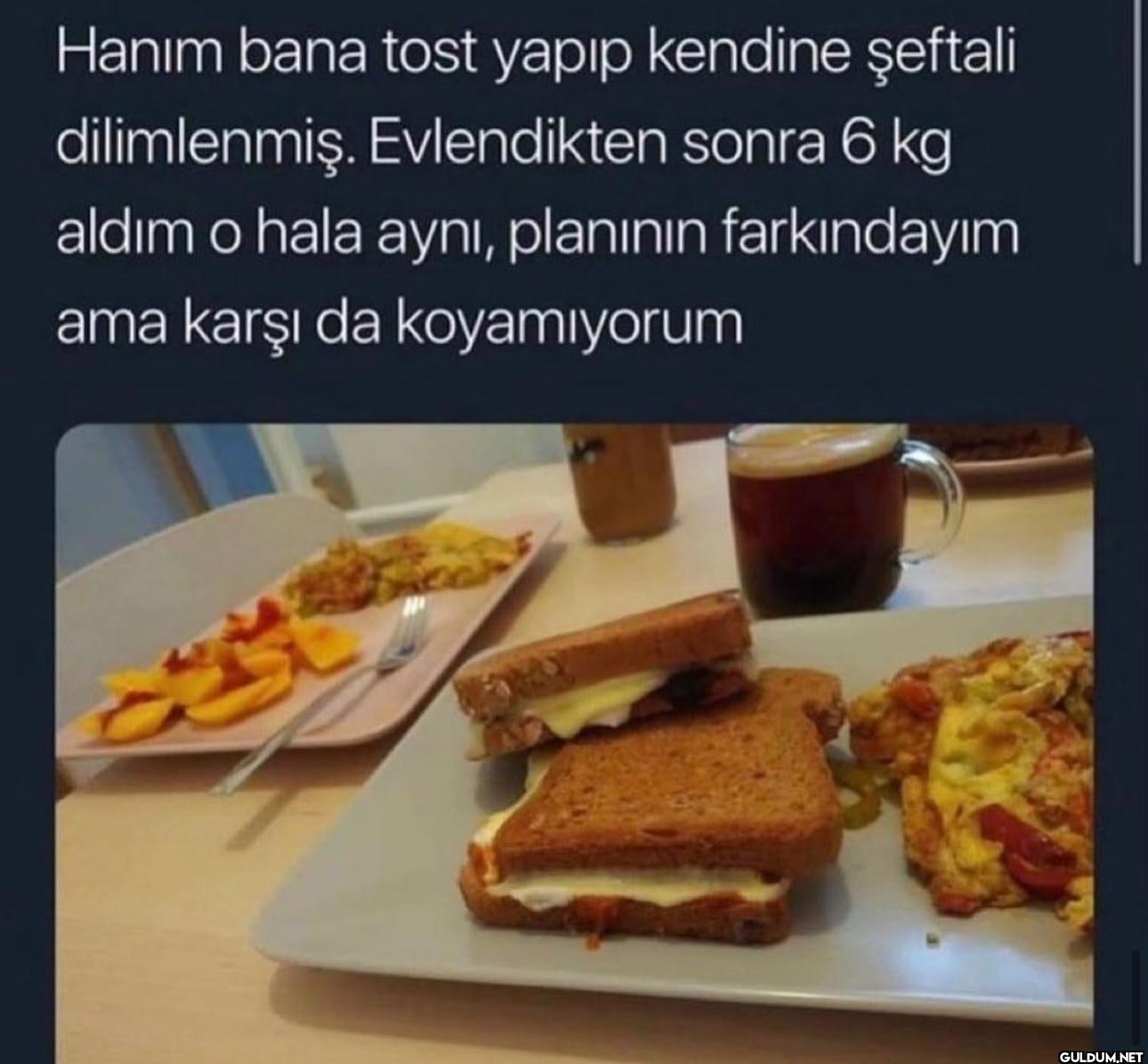 Hanım bana tost yapıp...