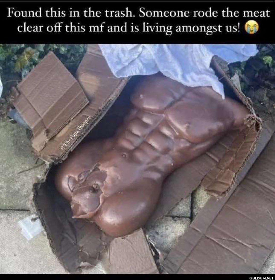 Found this in the trash....