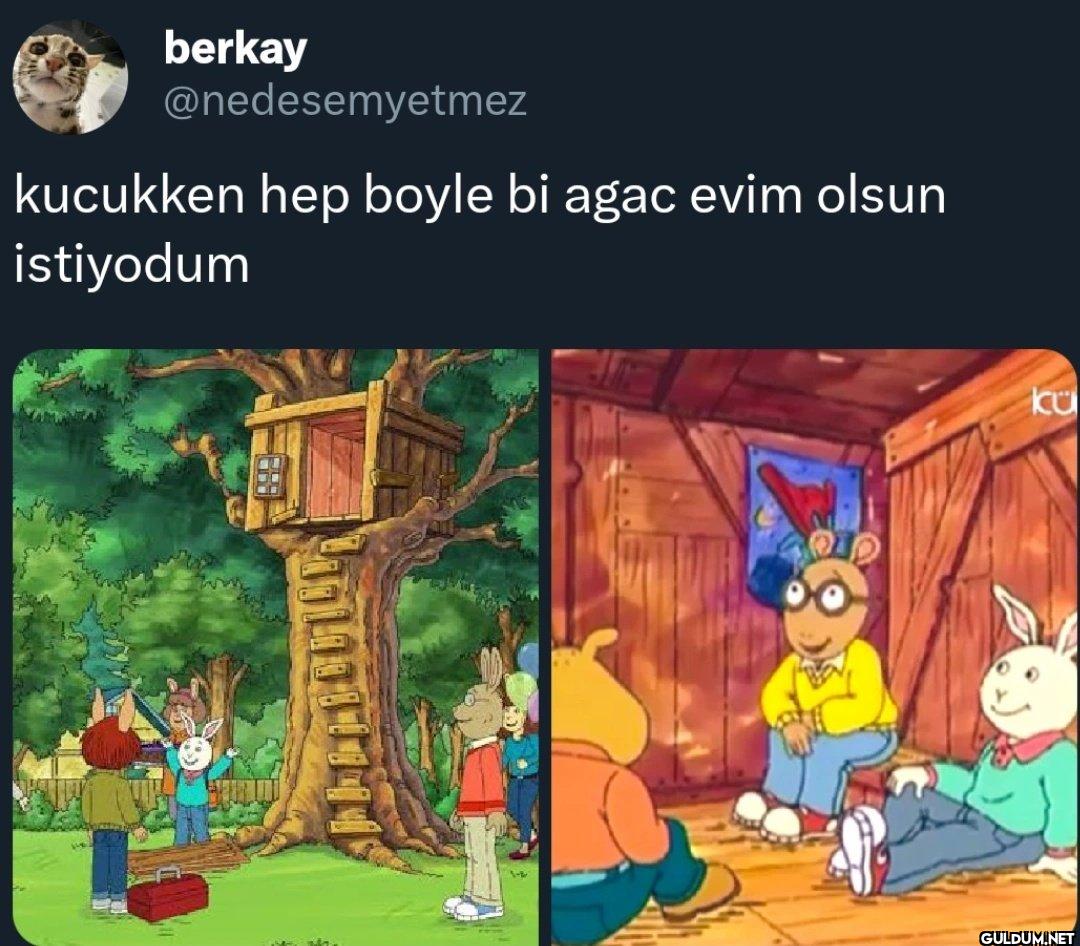 kucukken hep boyle bi agac...