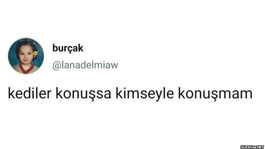 kediler konuşsa kimseyle konuşmam