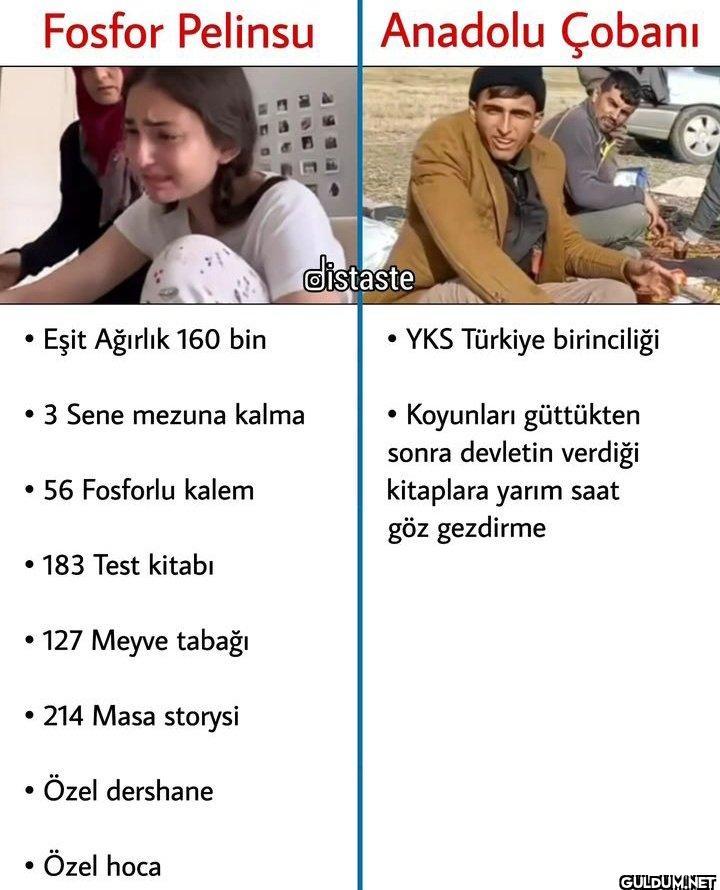 Fosfor Pelinsu Anadolu...