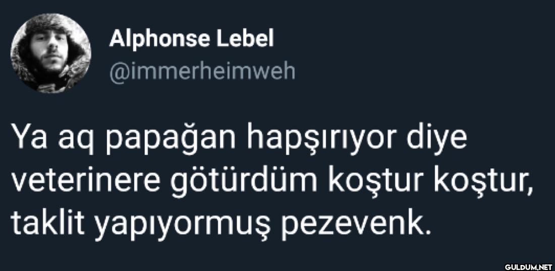 Ya aq papağan hapşırıyor...