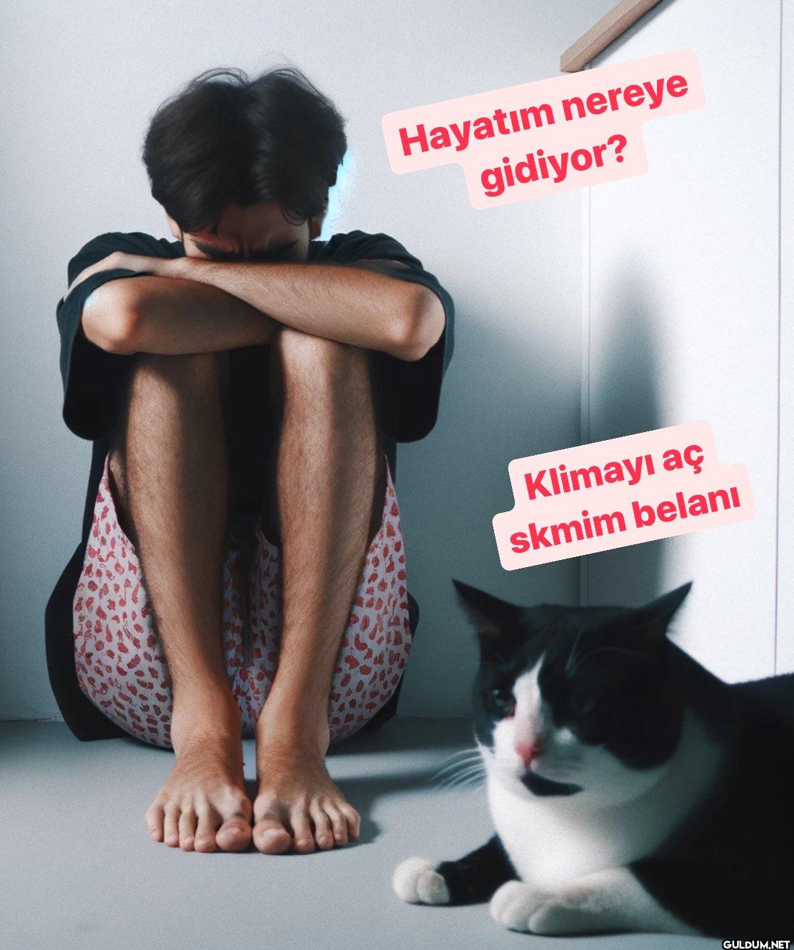 Hayatım nereye gidiyor?...