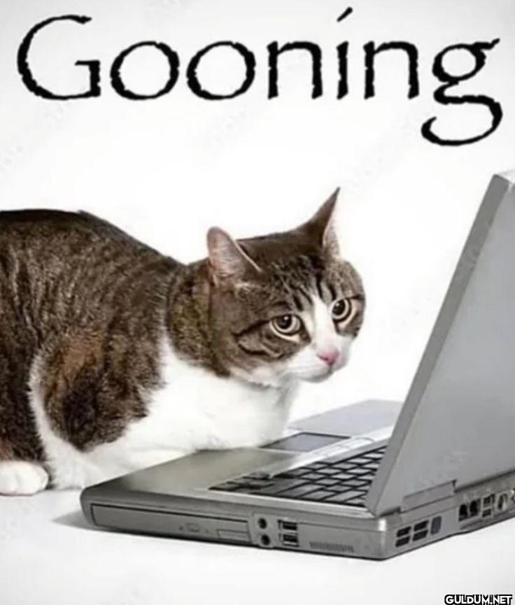 Gooning