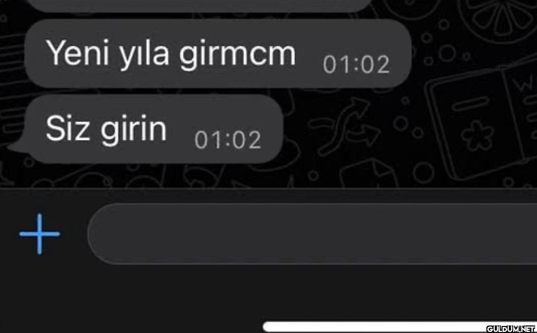 benim yılbaşı planı   ...