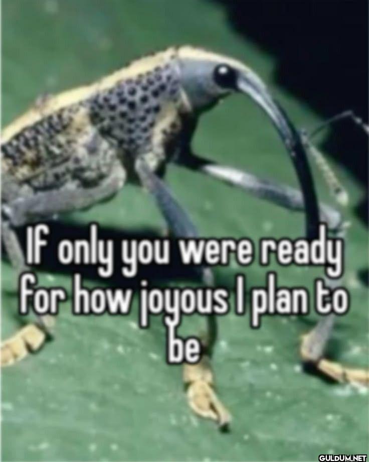 If only you were ready for...