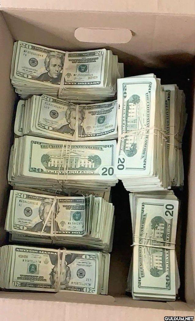 Moneyfesting    WP...