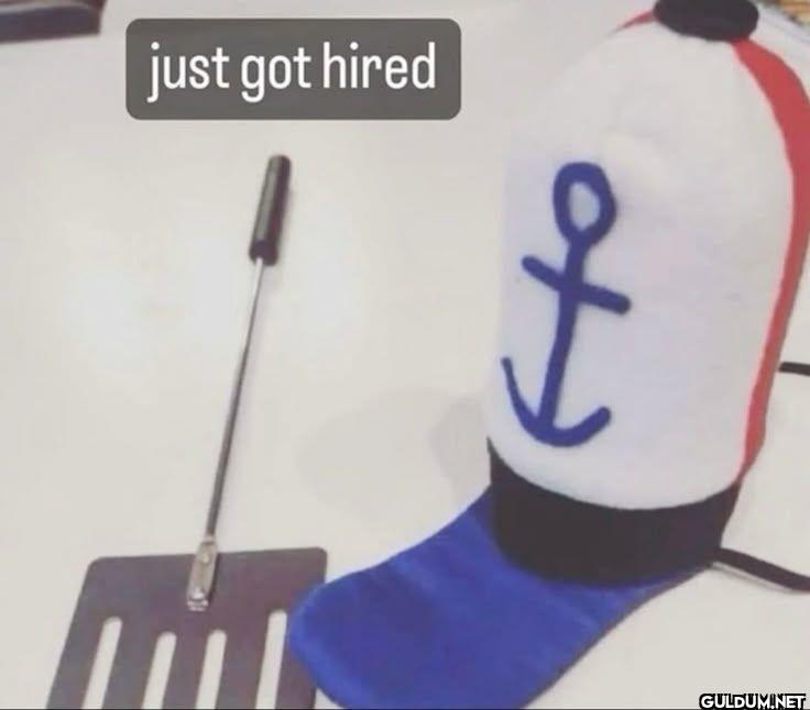 just got hired