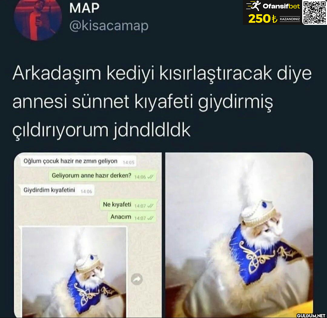 Arkadaşım kediyi...