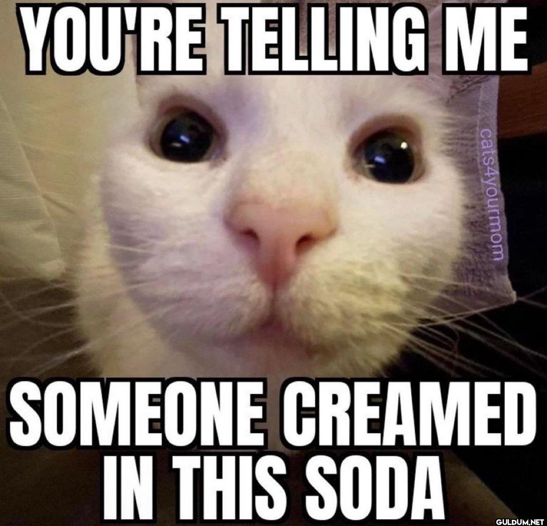 YOU'RE TELLING ME...
