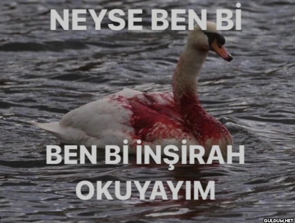 NEYSE BEN Bİ BEN Bİ...
