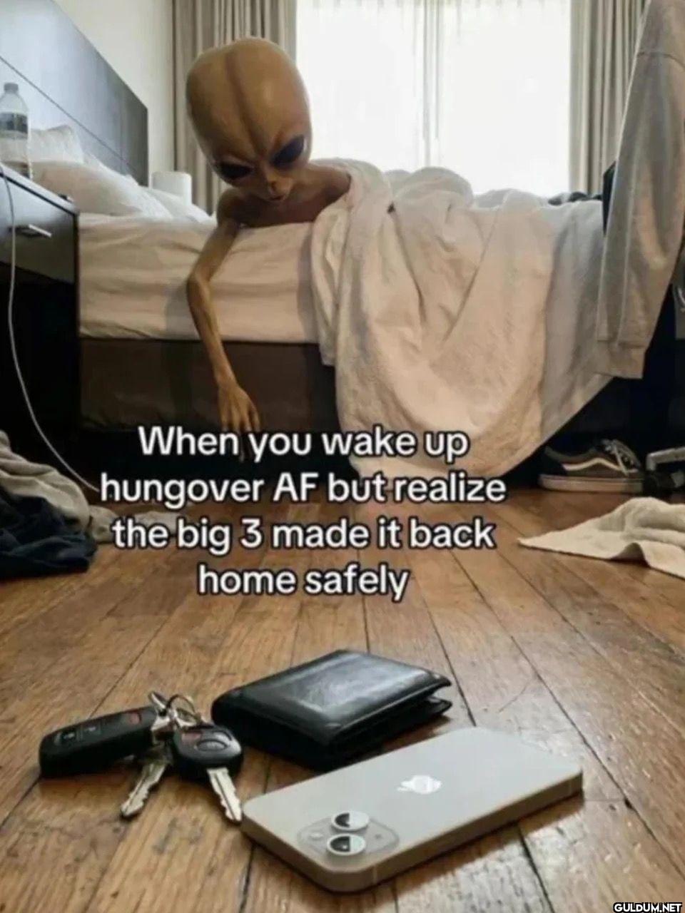 When you wake up hungover...