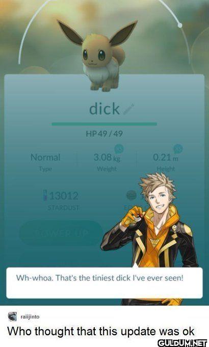 dick HP49 49 Normal Type...