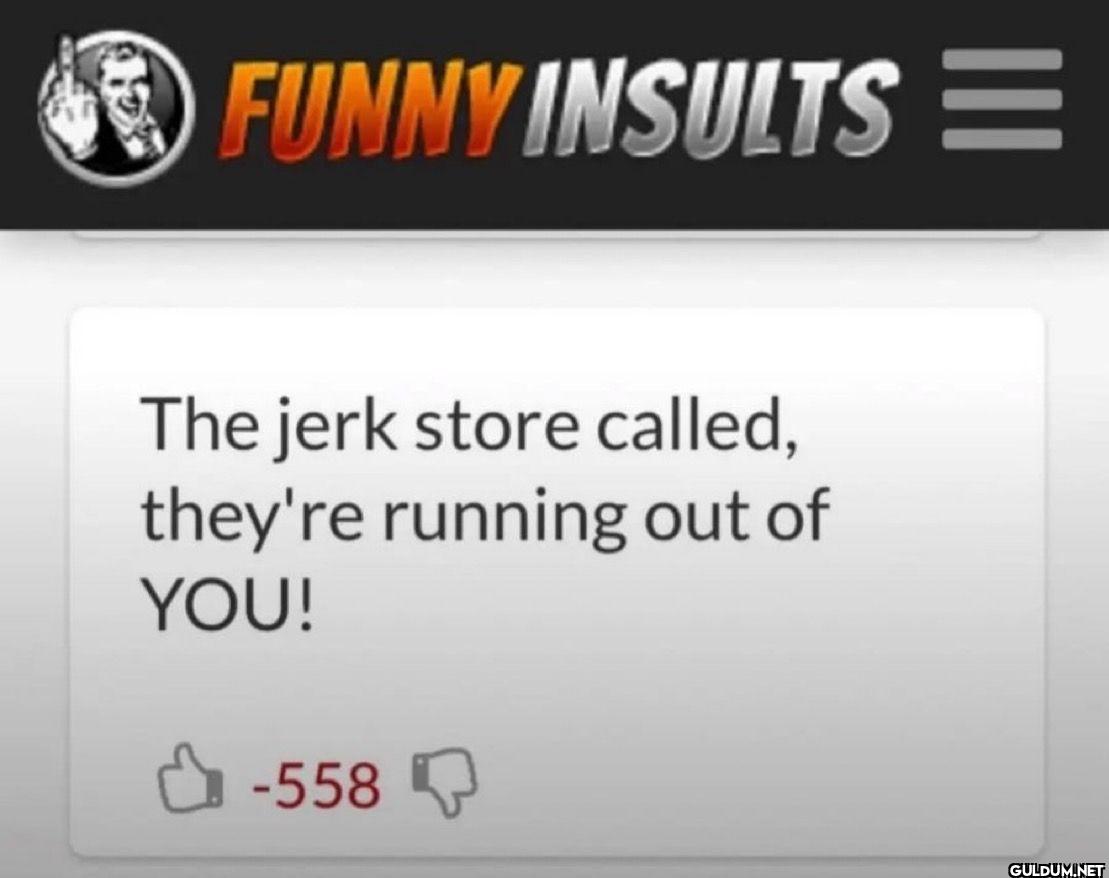 FUNNY INSULTS The jerk...