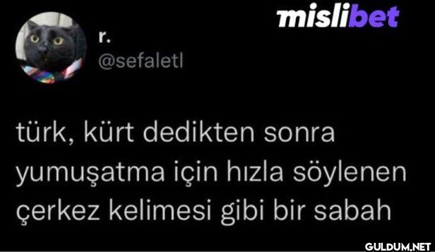 türk, kürt dedikten sonra...