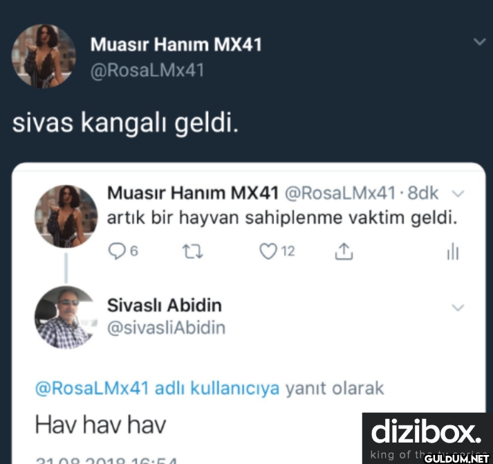 sivas kangalı geldi....