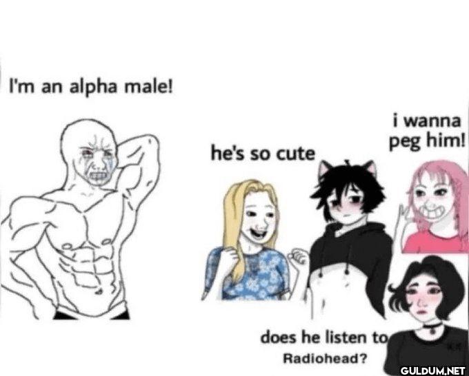 I'm an alpha male! he's so...