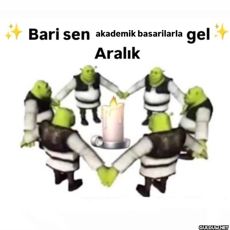 * Bari sen akademik...