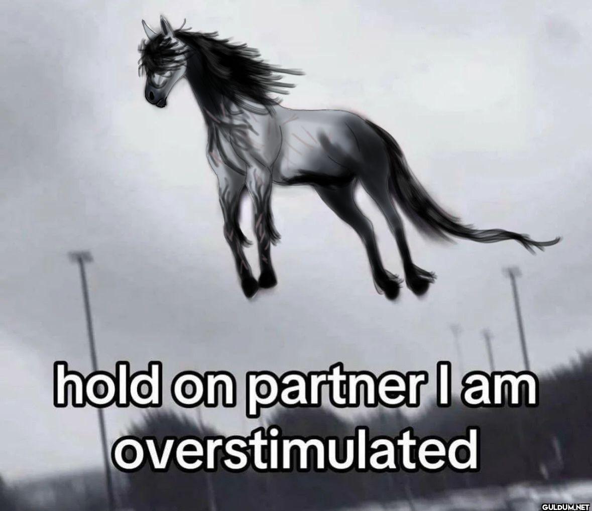 hold on partner I am overstimulated