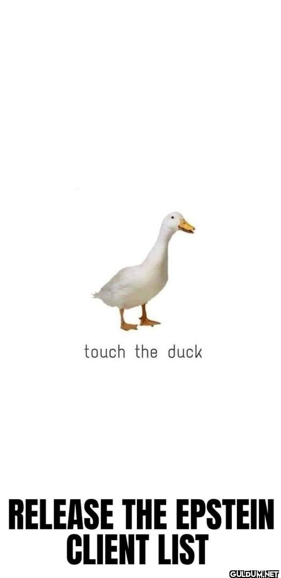 Trust me.    touch the...