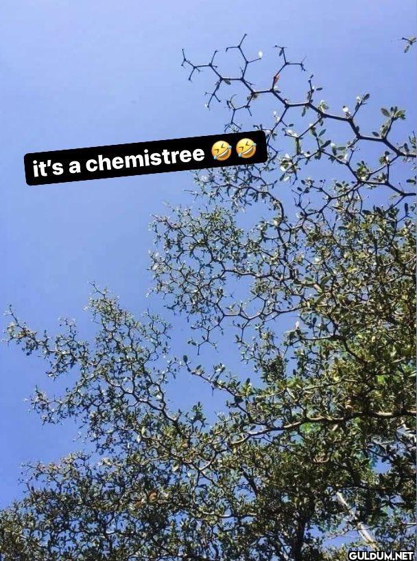 it's a chemistree