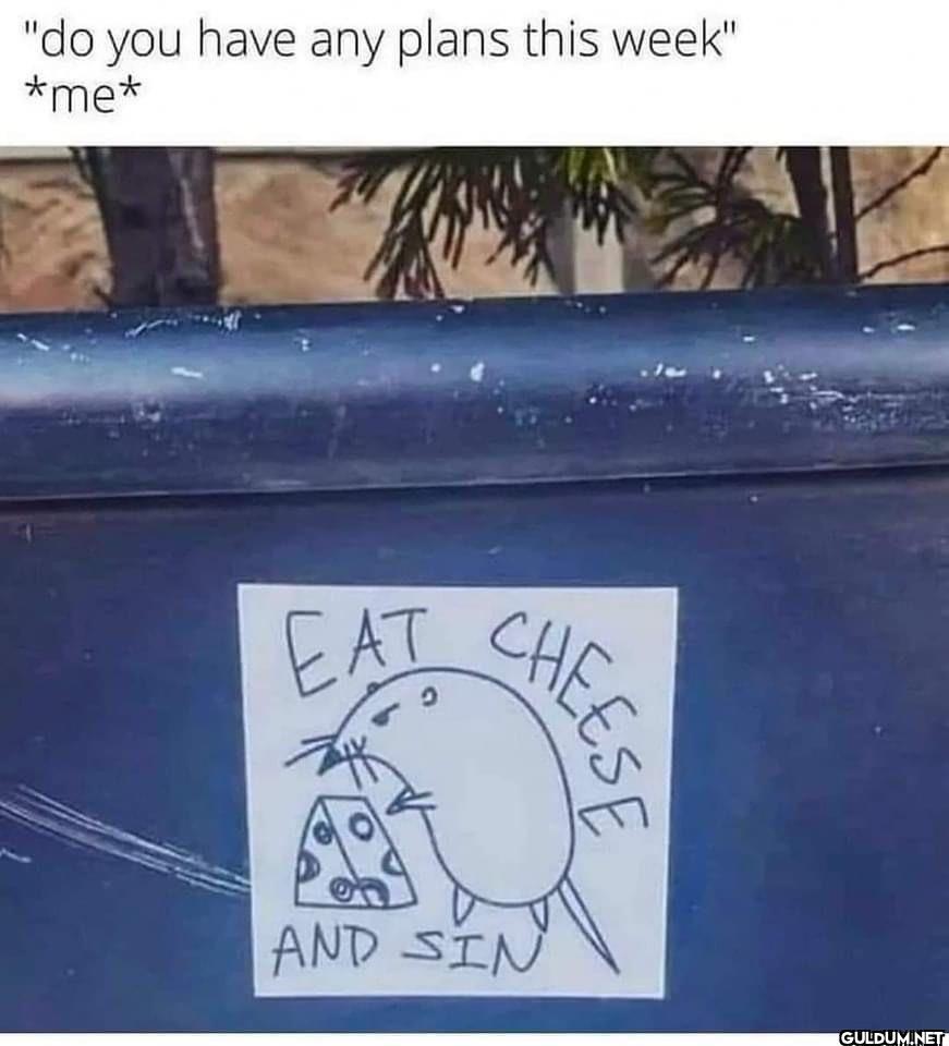 "do you have any plans...