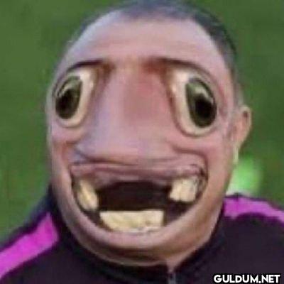 videolarsivi