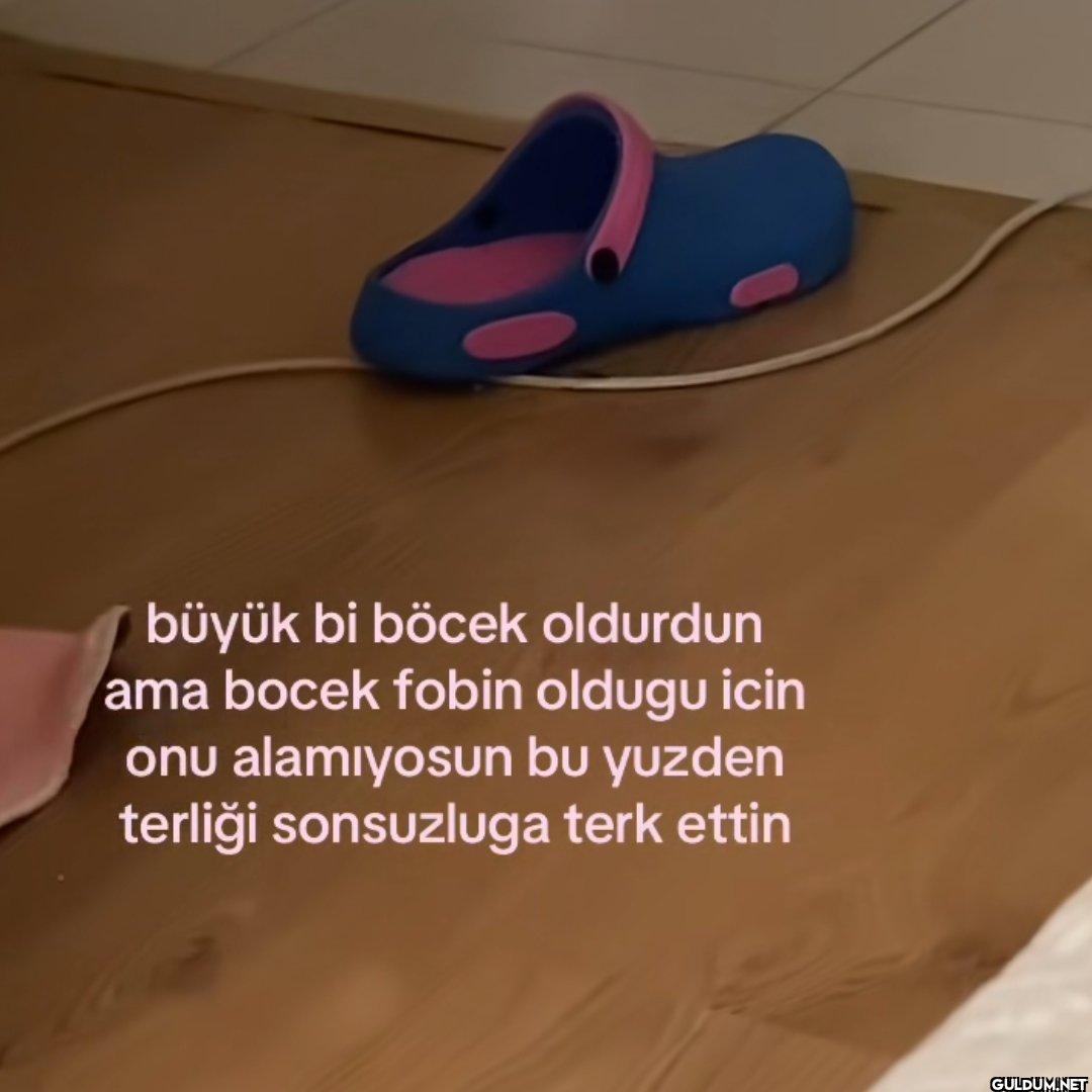 büyük bi böcek oldurdun...