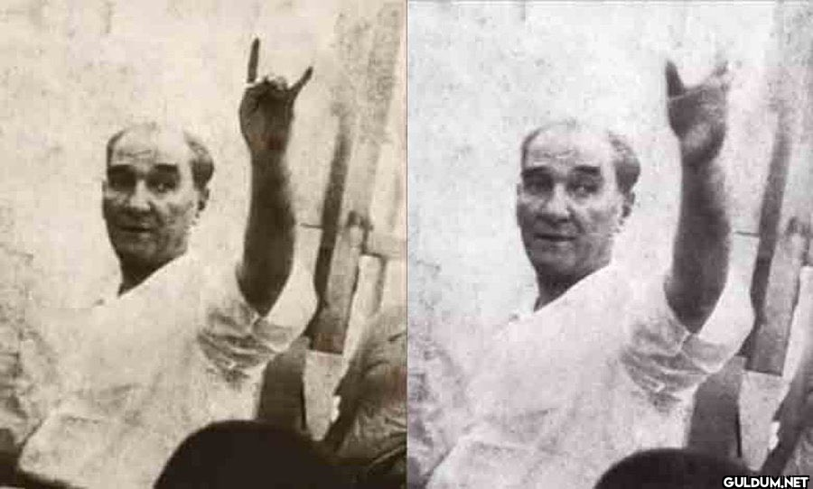 Atatürk bozkurt işareti   ...