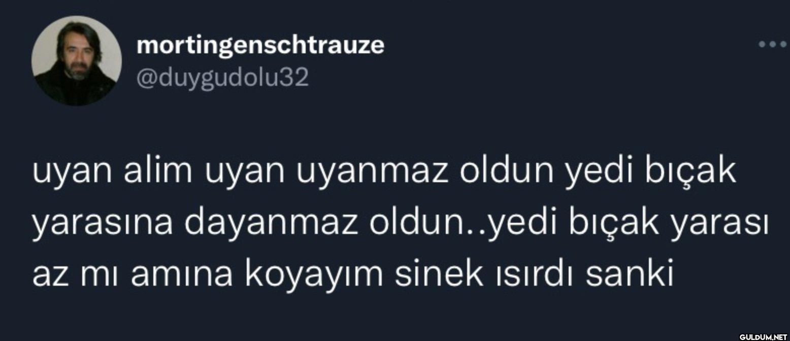 uyan alim uyan uyanmaz...