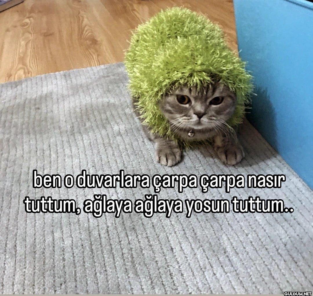 ben o duvarlara çarpa...