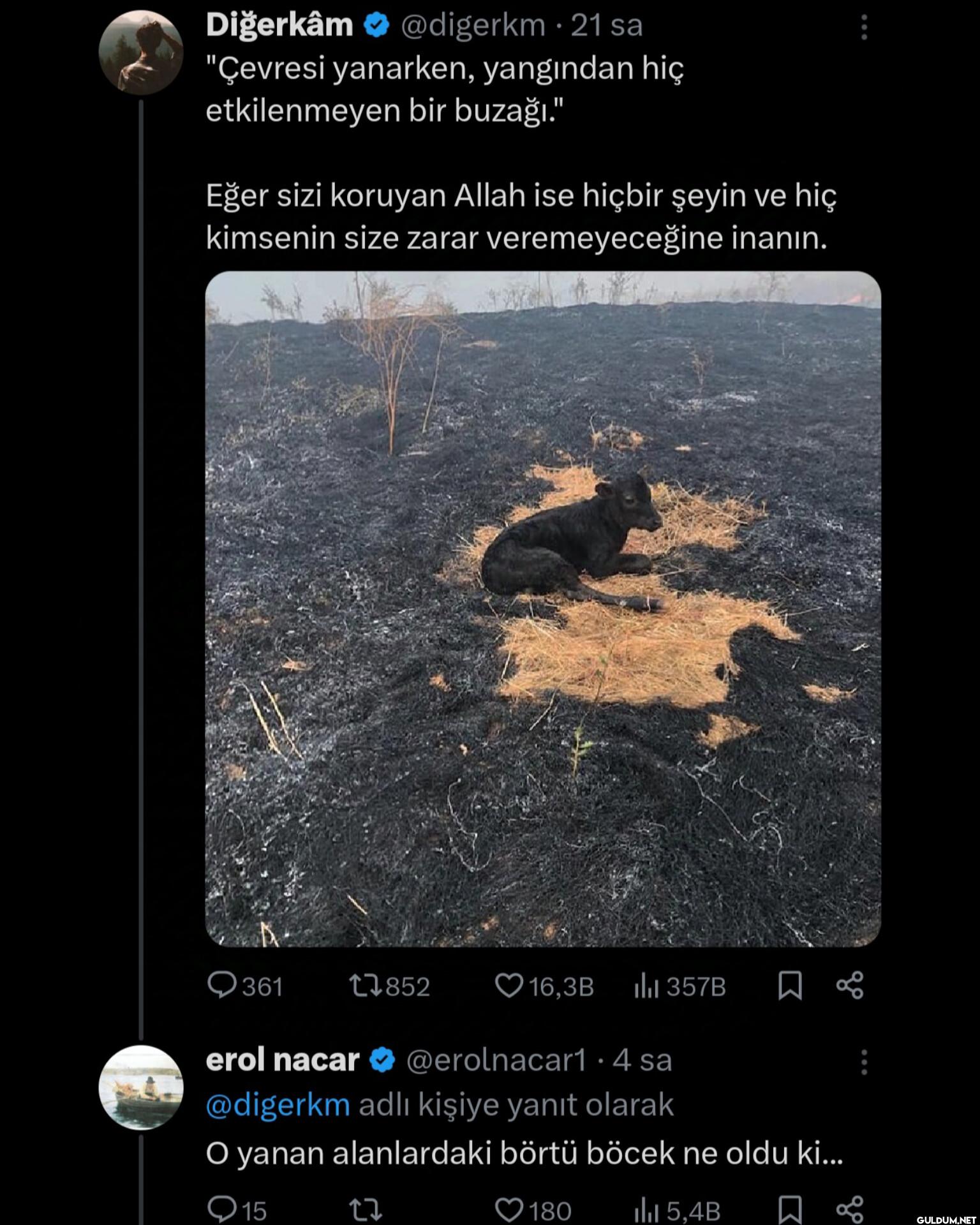 21 sa "Çevresi yanarken,...