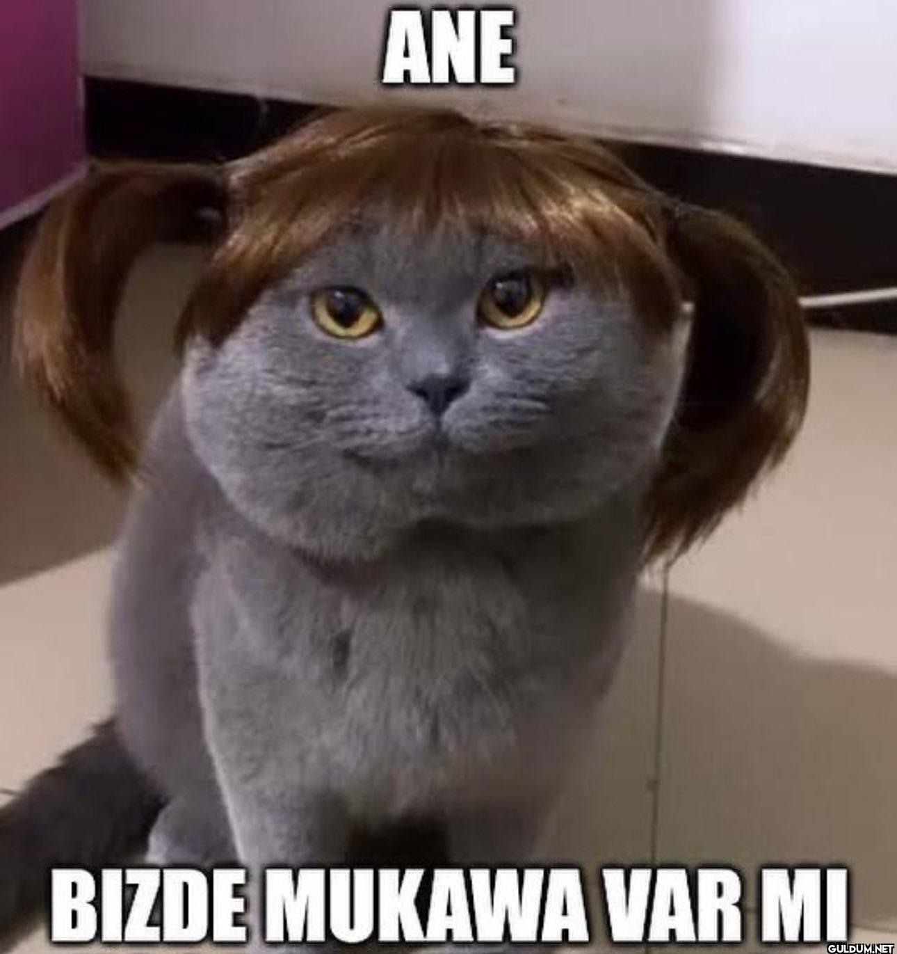 ANE BIZDE MUKAWA VAR MI