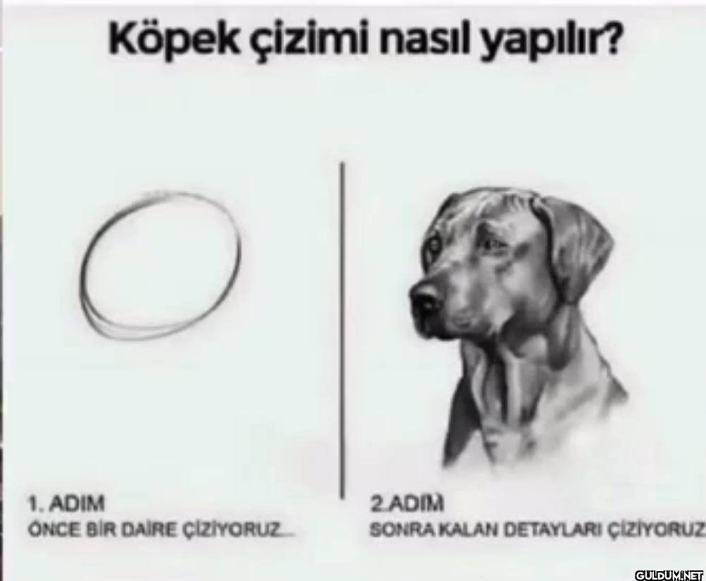 köpek çizimi nasıl yapılır...