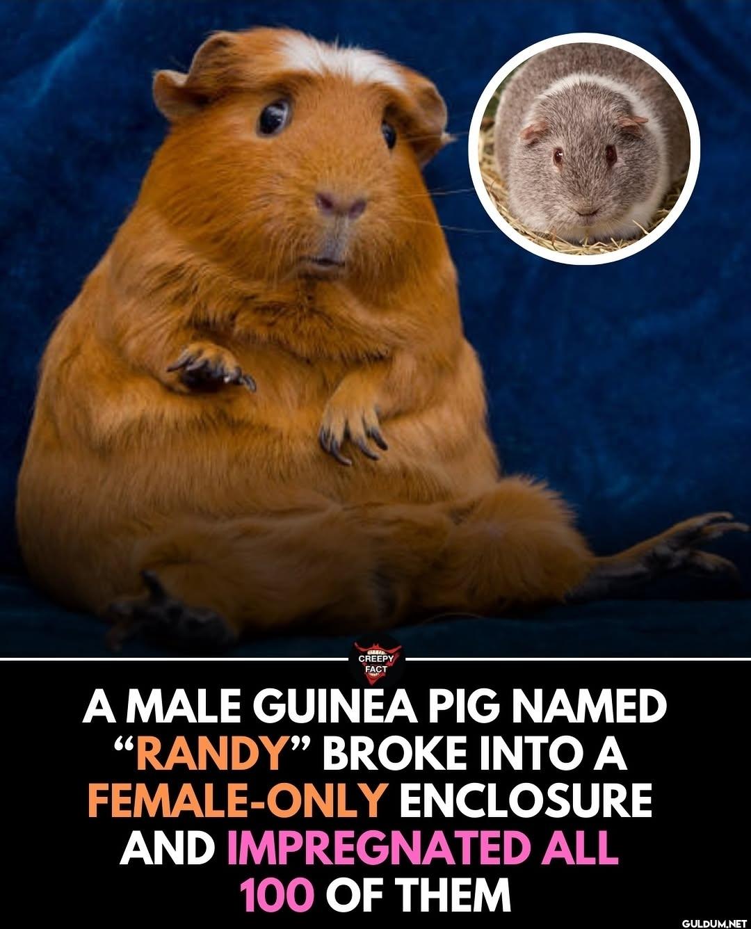 Of course it was named...