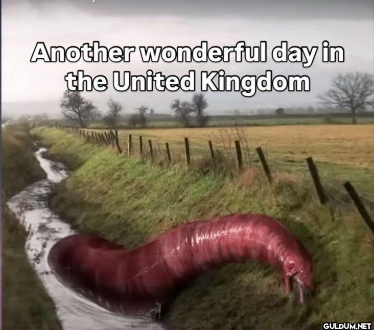 Another wonderful day in...
