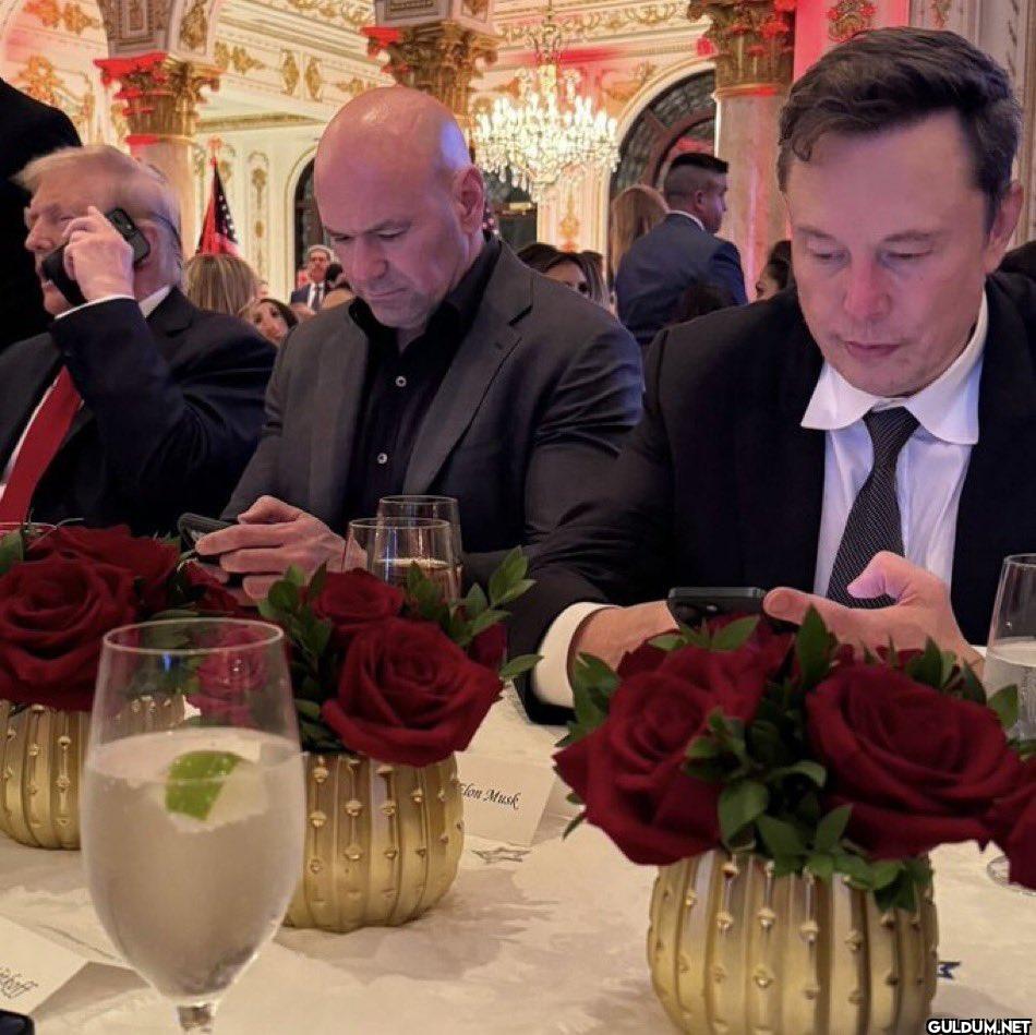 Me and the fam when Elon...