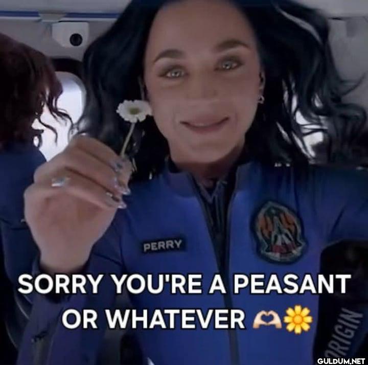 PERRY SORRY YOU'RE A...