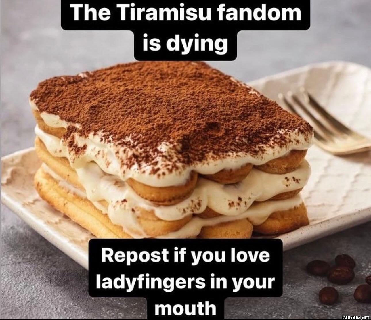 ㅤ    The Tiramisu fandom...