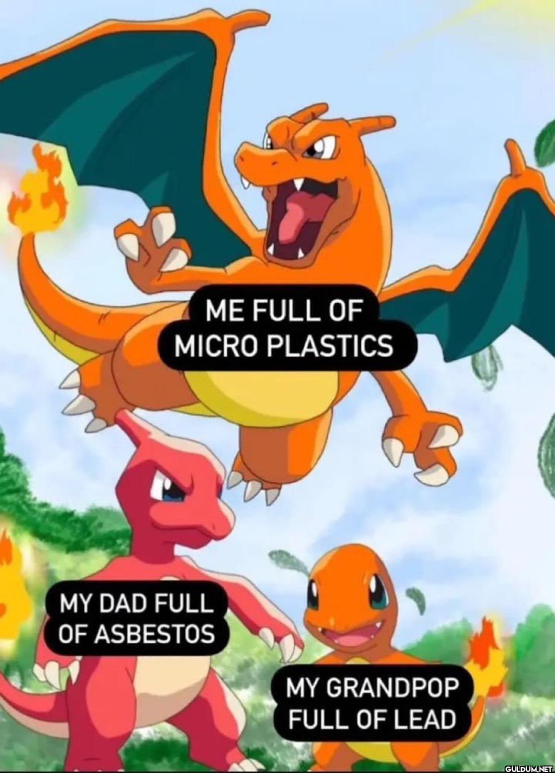 ME FULL OF MICRO PLASTICS...