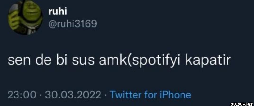 sen de bi sus amk(spotifyi...