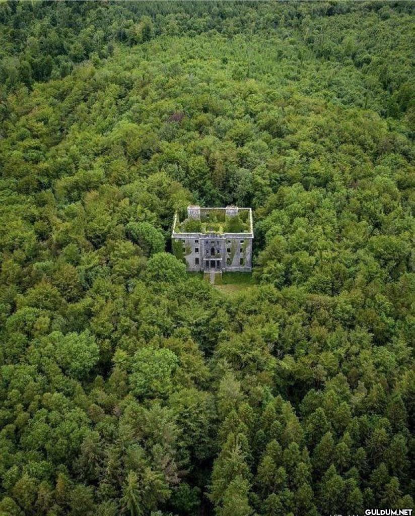3. An Abandoned mansion in...