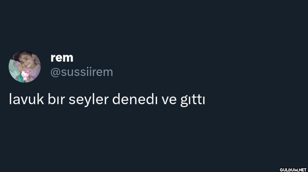 lavuk bir seyler denedi ve gitti