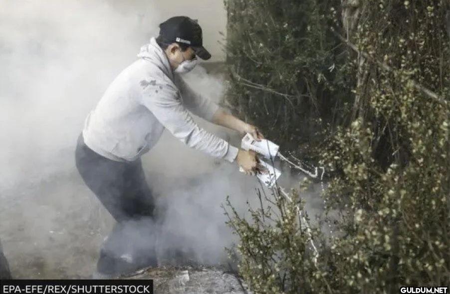 California Man Fights Fire...