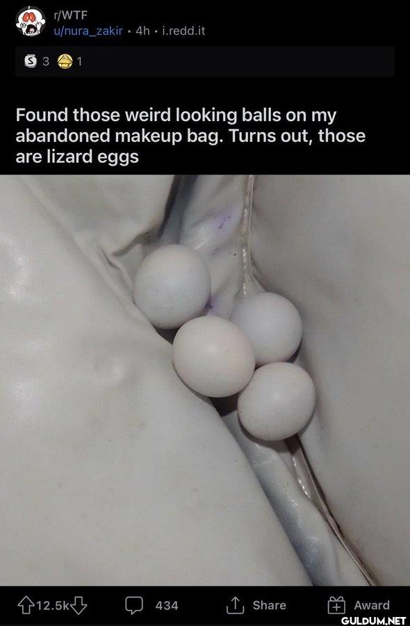 r/WTF u/nura_zakir 4h....