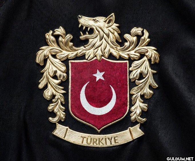 Hollanda maçına şu şekil...
