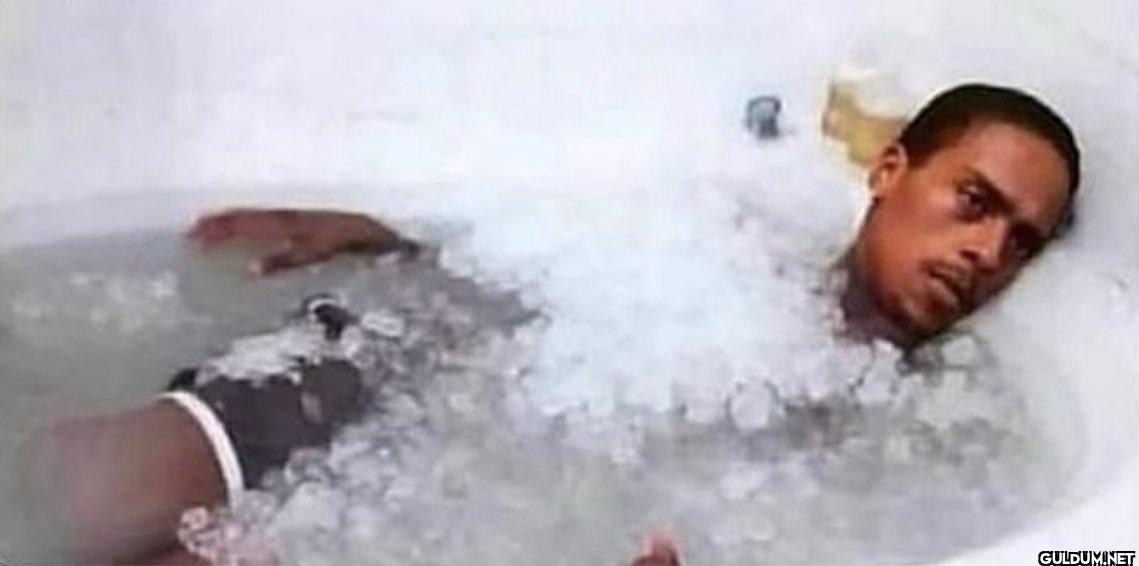No one:  Fish in grocery stores:
