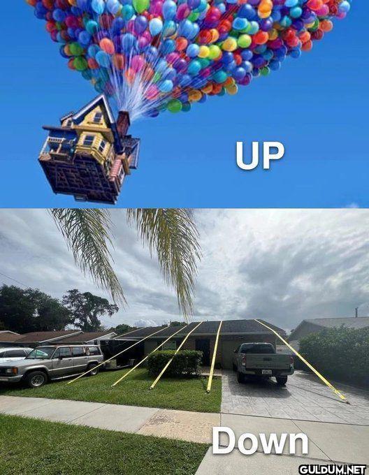 UP Down