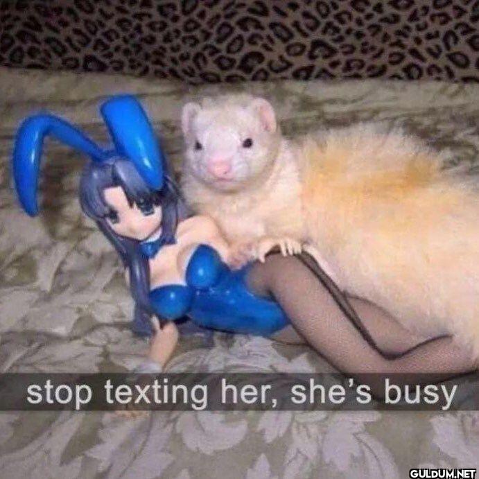 stop texting her, she's busy